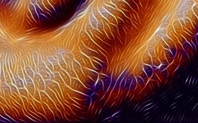 Understanding Nerve Pain in the Lower Back