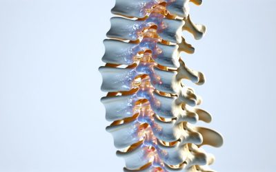 Back Pain and Your Spine: Anatomy Explained